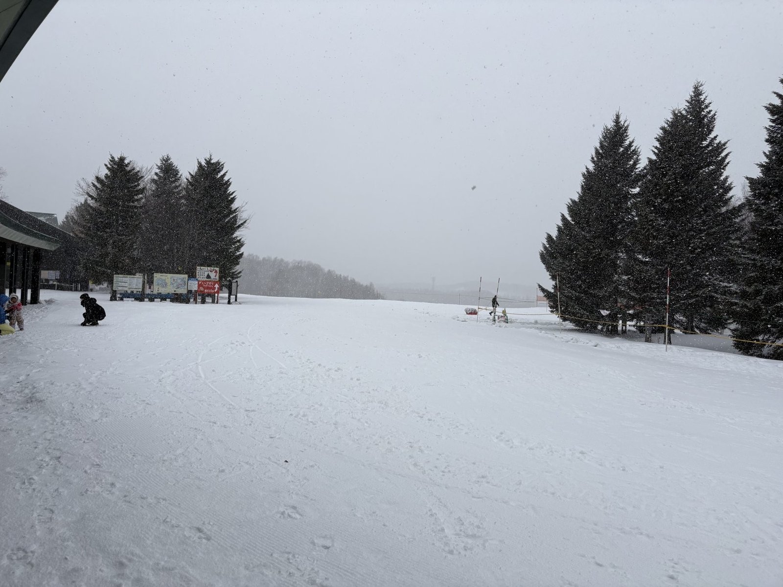 Near the park entrance as snow falls