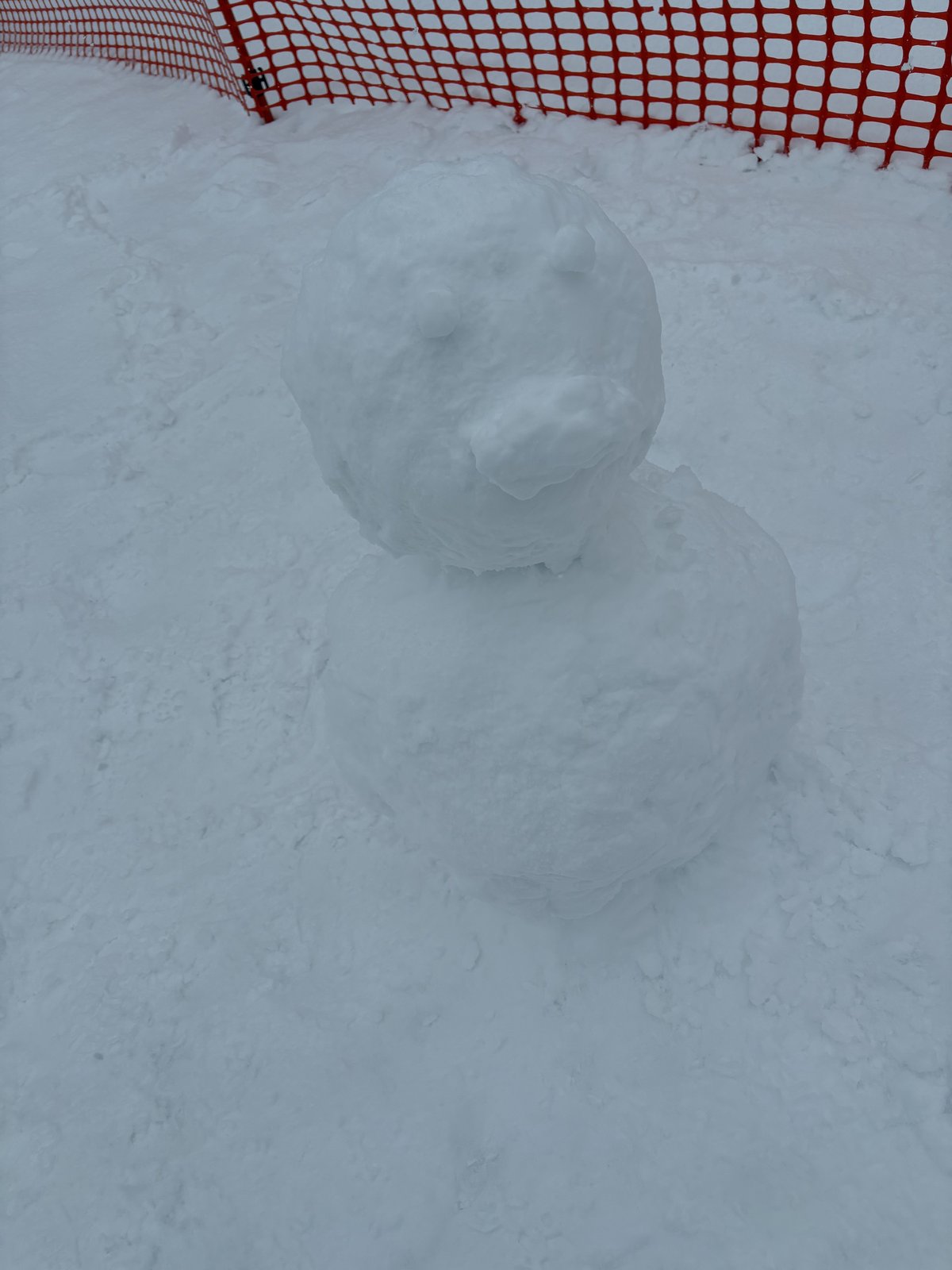 A snowman shaped like a little bear
