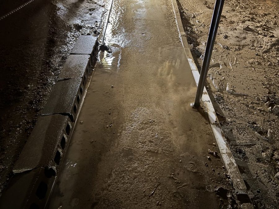 A puddle that had formed along the walkway