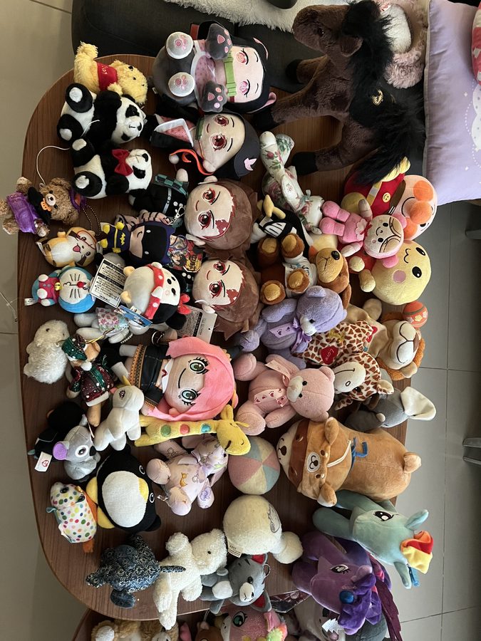 Seen from above, this is how many there were.
