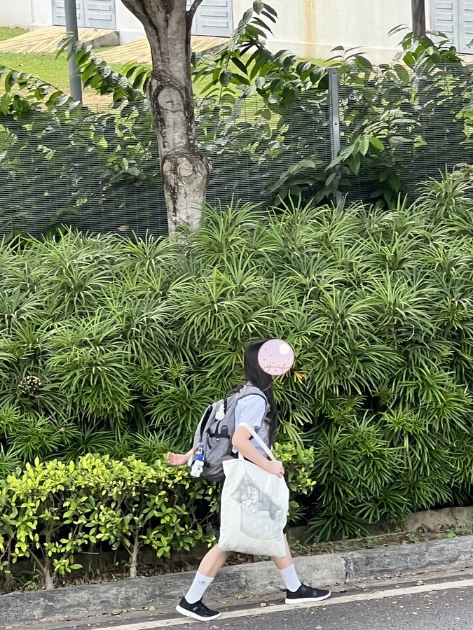 緑の多い通学路です
