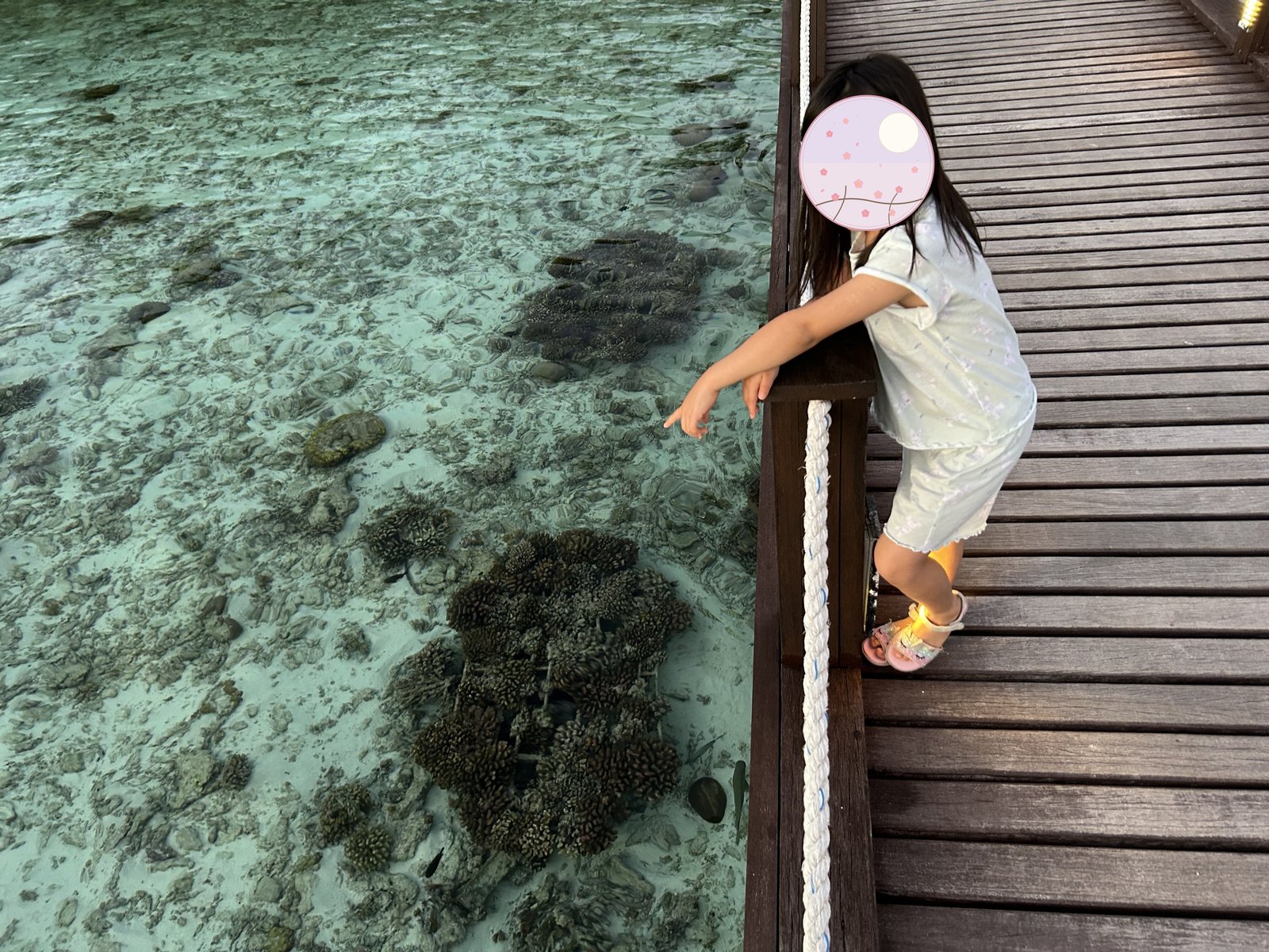 ジェティの手すりから海をのぞきこむ子ども