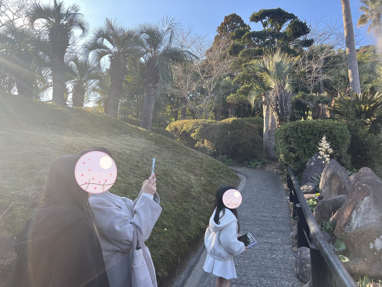 A garden path lined with palm trees 