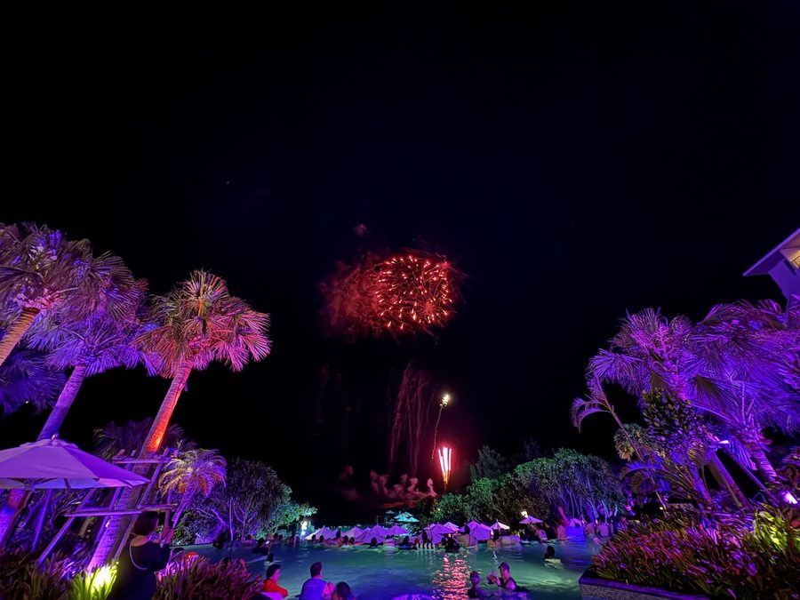 Palm silhouettes against the fireworks