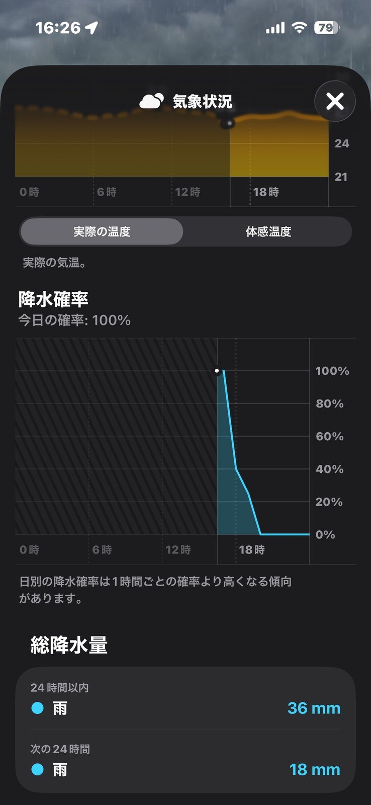 降水確率100%。この日は外遊びを最初から諦めました