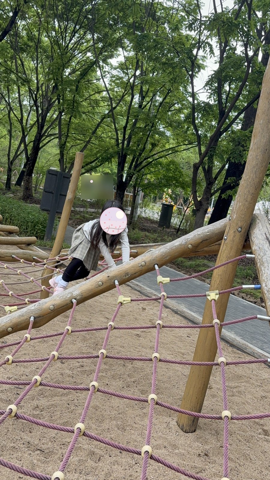 Playing on the rope-and-timber climbing structure in the Seoul Forest area